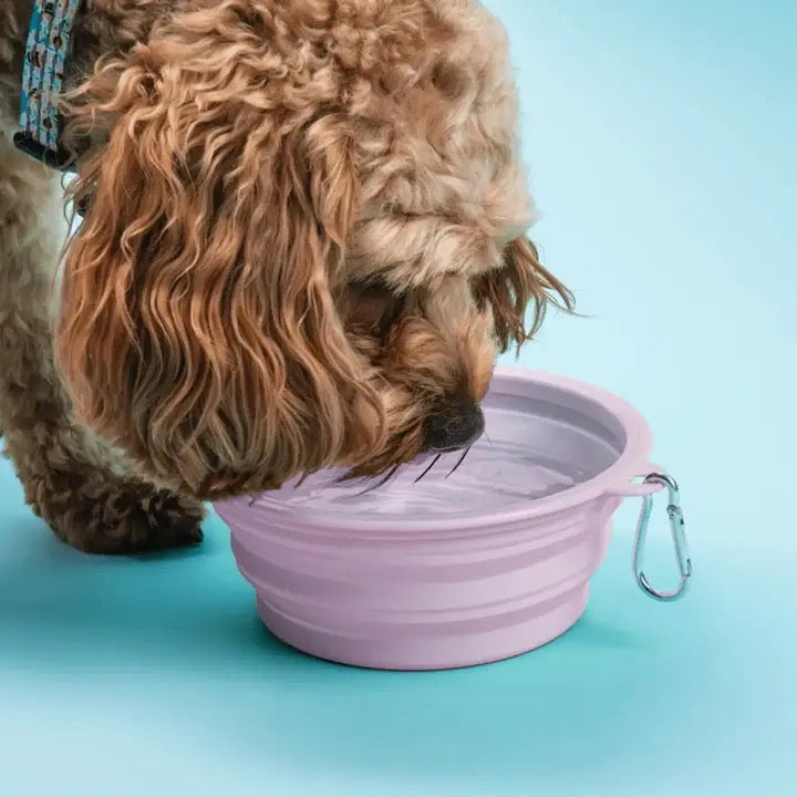 Sip & Snack Pet Travel Bowl
