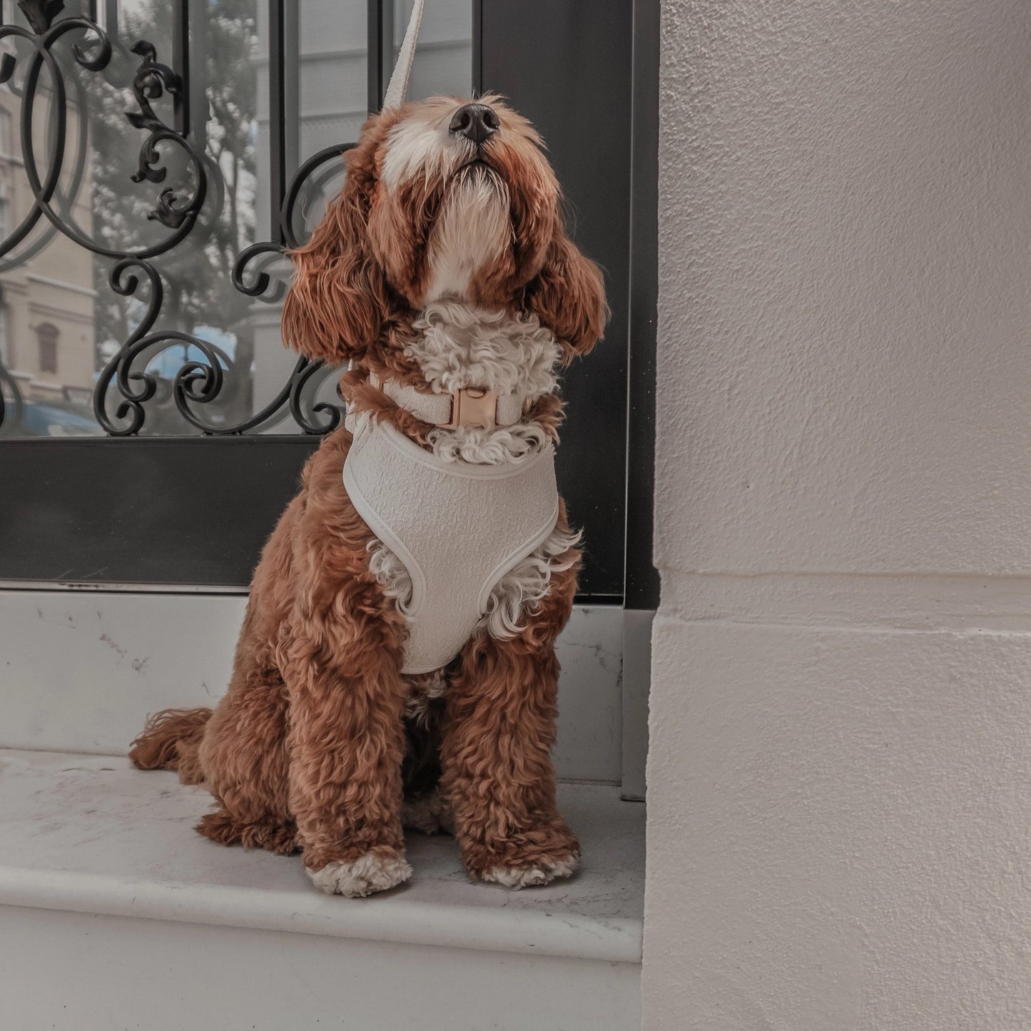 The Nest Bouclé Harness - Marshmallow