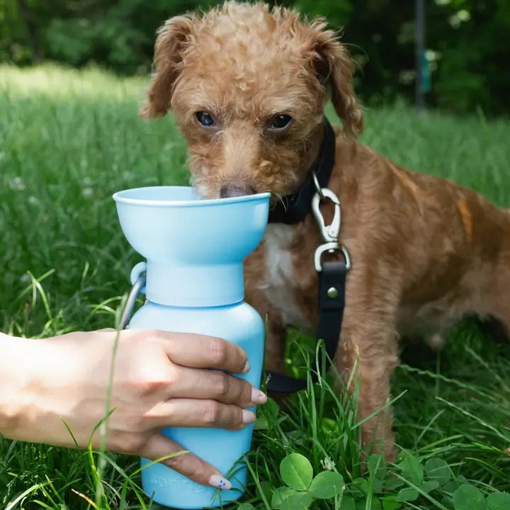 Getaway Water Bottle - 20oz - Baby Blue