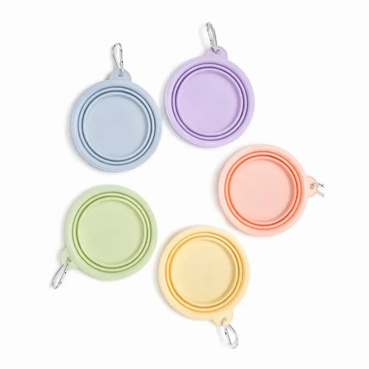Sip & Snack Pet Travel Bowl