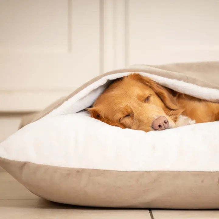 The Hideaway Bed - Clay (Velvet)