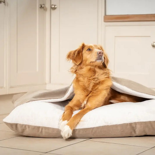 The Hideaway Bed - Clay (Velvet)