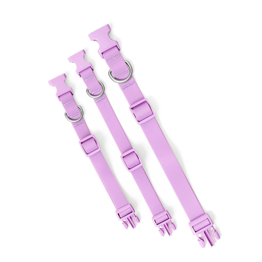 The Everywhere Collar - Lilac