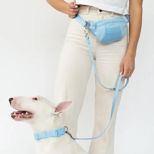 The Companion Lead with Sling Bag - Baby Blue