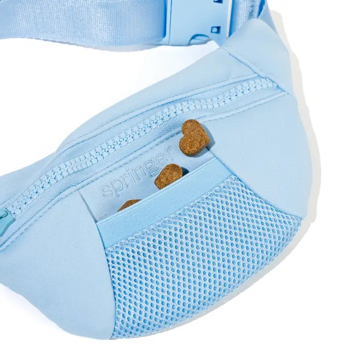 The Companion Lead with Sling Bag - Baby Blue