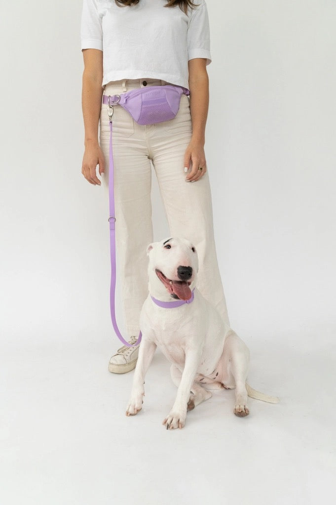 The Companion Lead with Sling Bag - Lilac