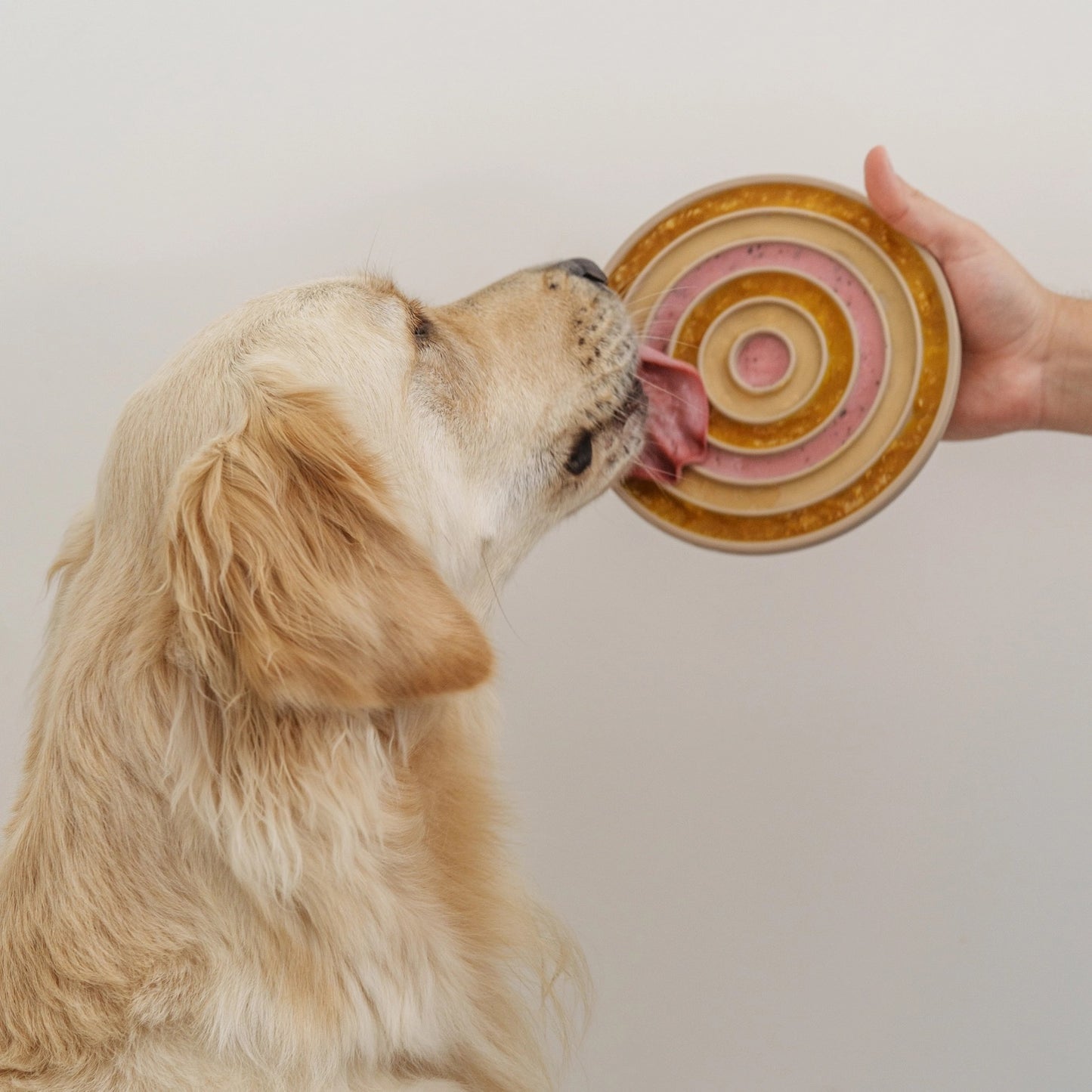 The Slow Bowl (3-in-1)