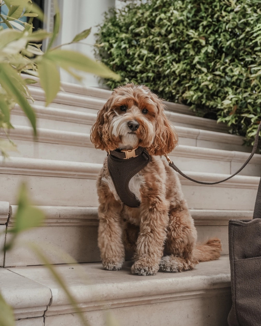 The Nest Bouclé Harness - Chocolate
