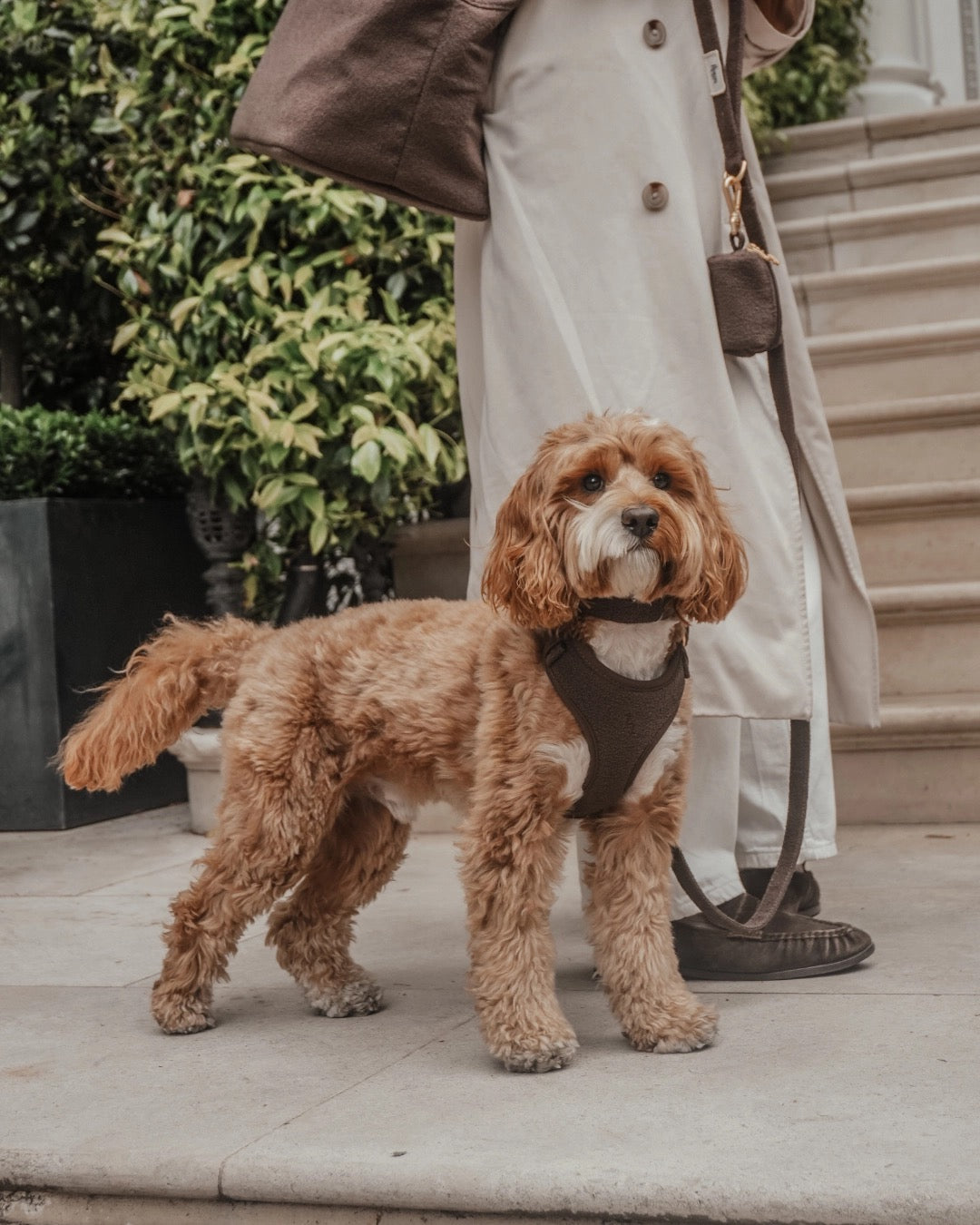 The Nest Bouclé Harness - Chocolate