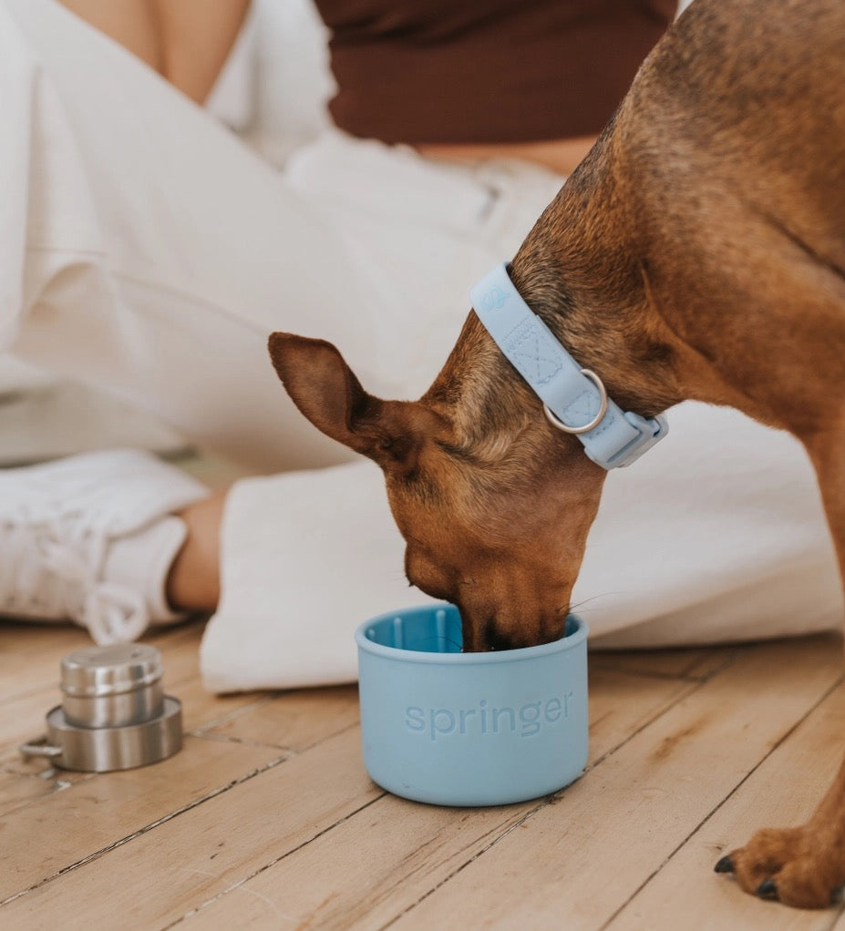 Companion Water Bottle - Baby Blue