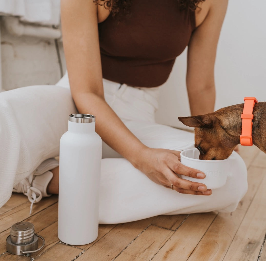 Companion Water Bottle - White