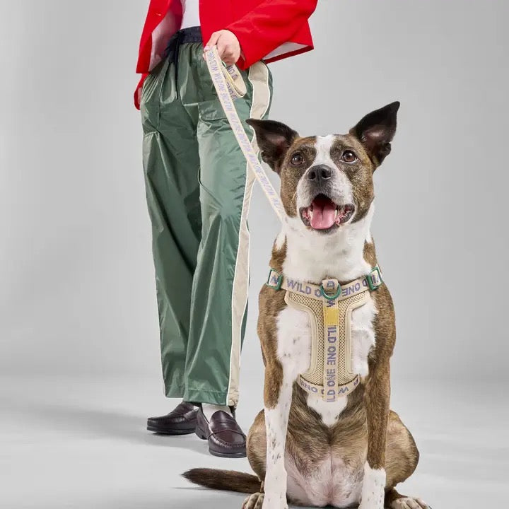 The Weekend Harness - Retro