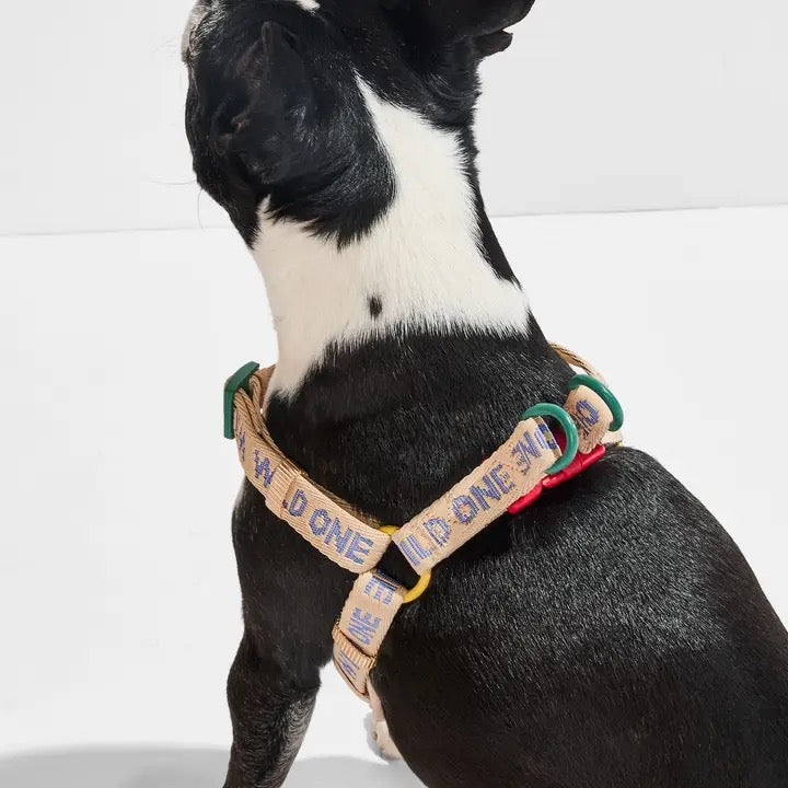 The Weekend Harness - Retro