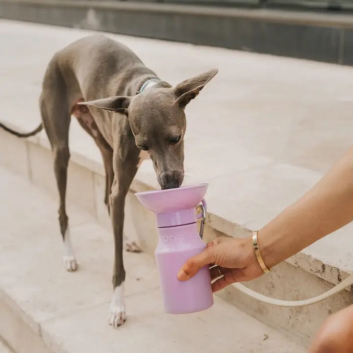 The Getaway Bottle - 20oz - Lilac