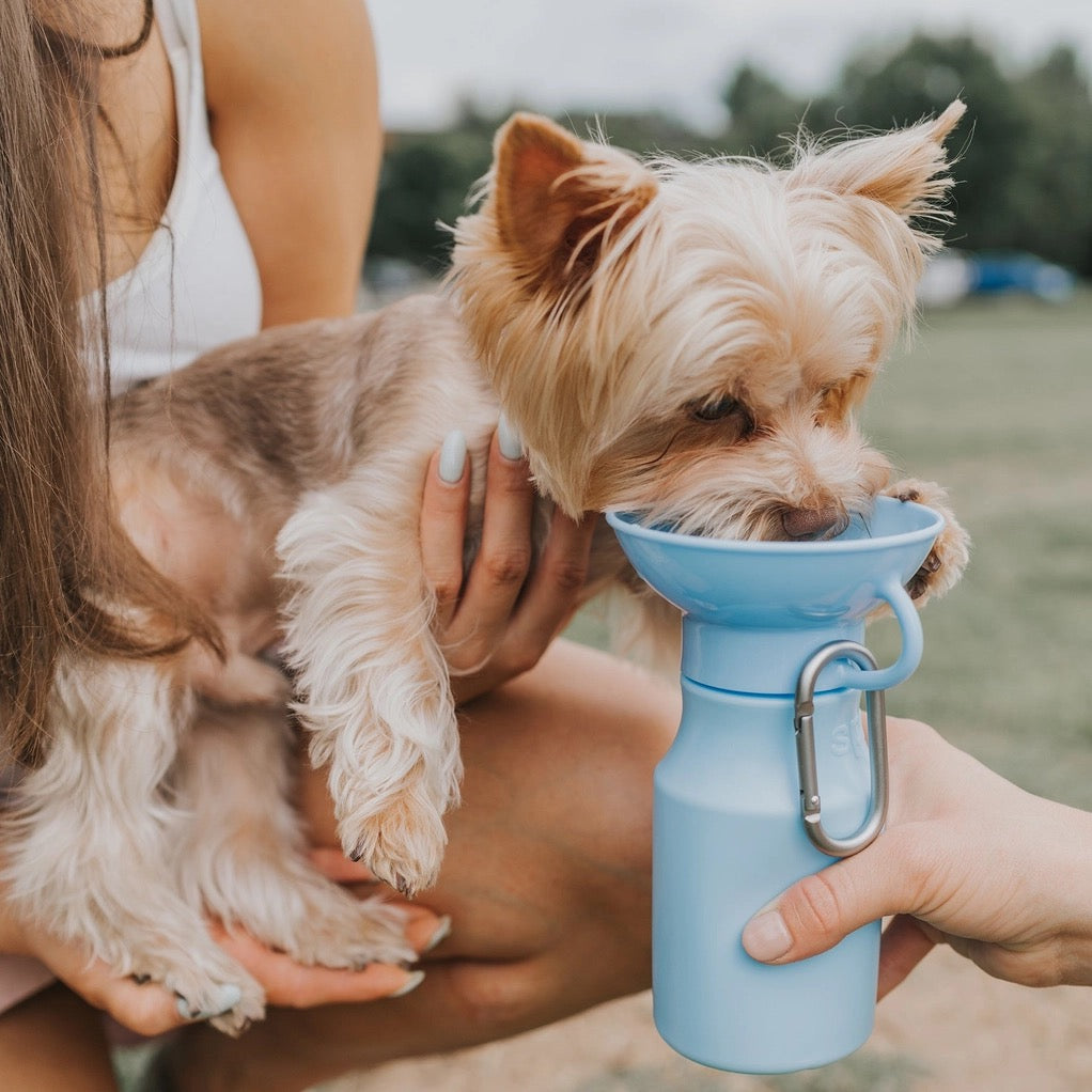 Getaway Water Bottle - 20oz - Baby Blue