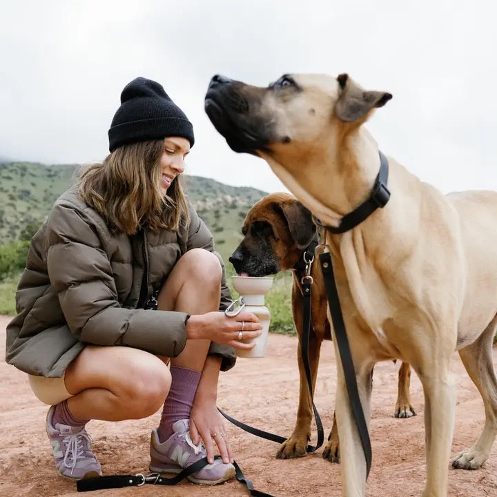 Getaway Water Bottle - 20oz - Oat