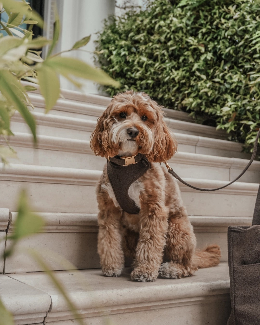 The Nest Boucle Collar - Chocolate