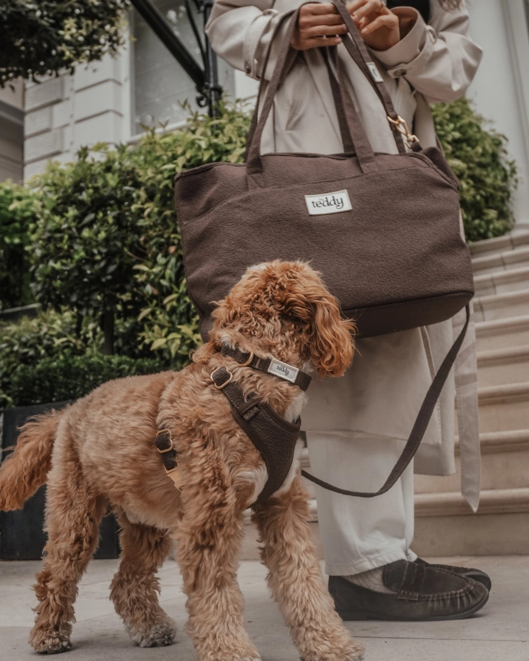 The Nest Boucle Collar - Chocolate