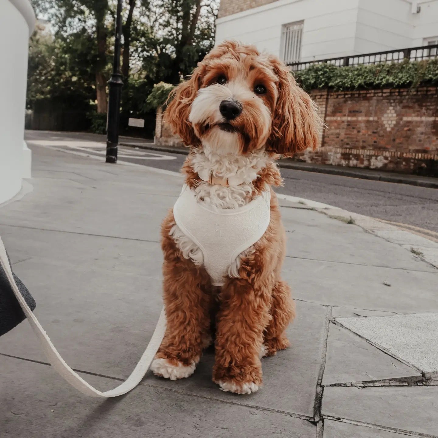 The Nest Bouclé Harness - Marshmallow
