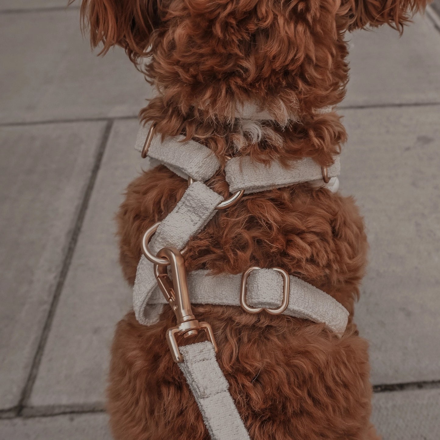 The Nest Bouclé Harness - Marshmallow