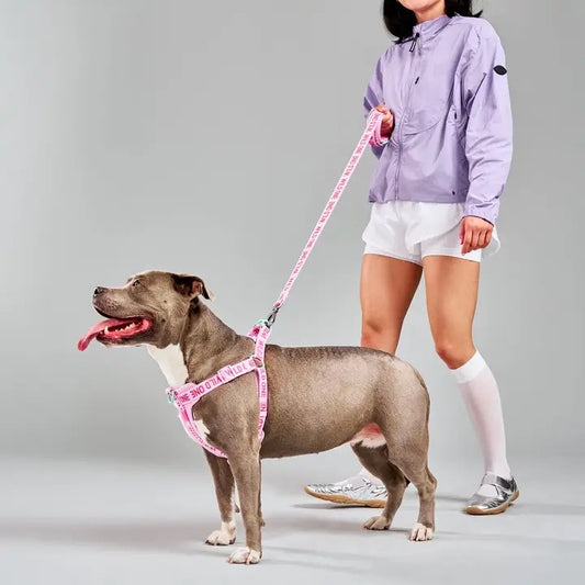 The Weekend Kit - Bubblegum